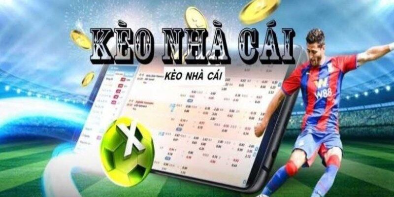 Tỷ Lệ Kèo Nhà Cái NEW88 Uy Tín – Độ Chính Xác Cao 2026 2 Tổng hợp kèo cược tại nhà cái New88